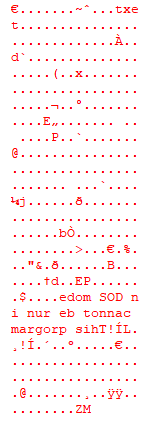 CustomXML에서 추출한 페이로드를 HxD로 열어 reversed PE 구조가 보이는 화면